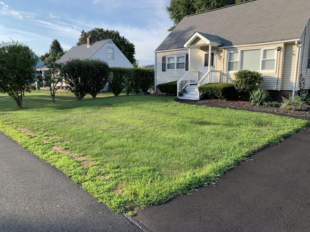 homeowner ugly mow