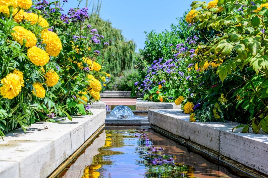 landscaping-water-feature