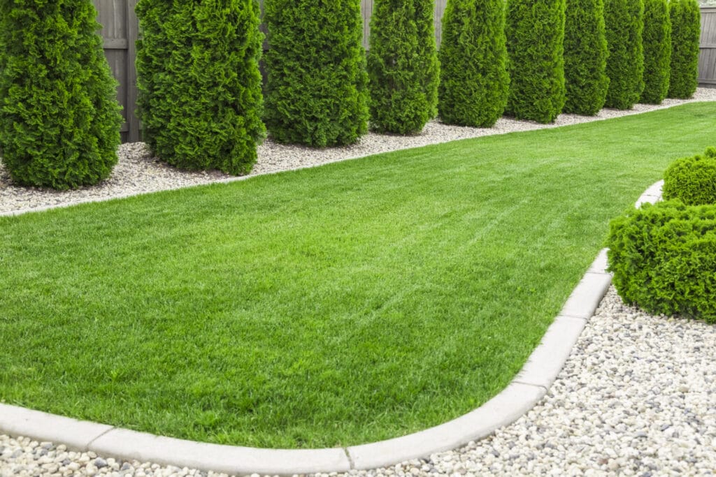 trees-edging-lawn