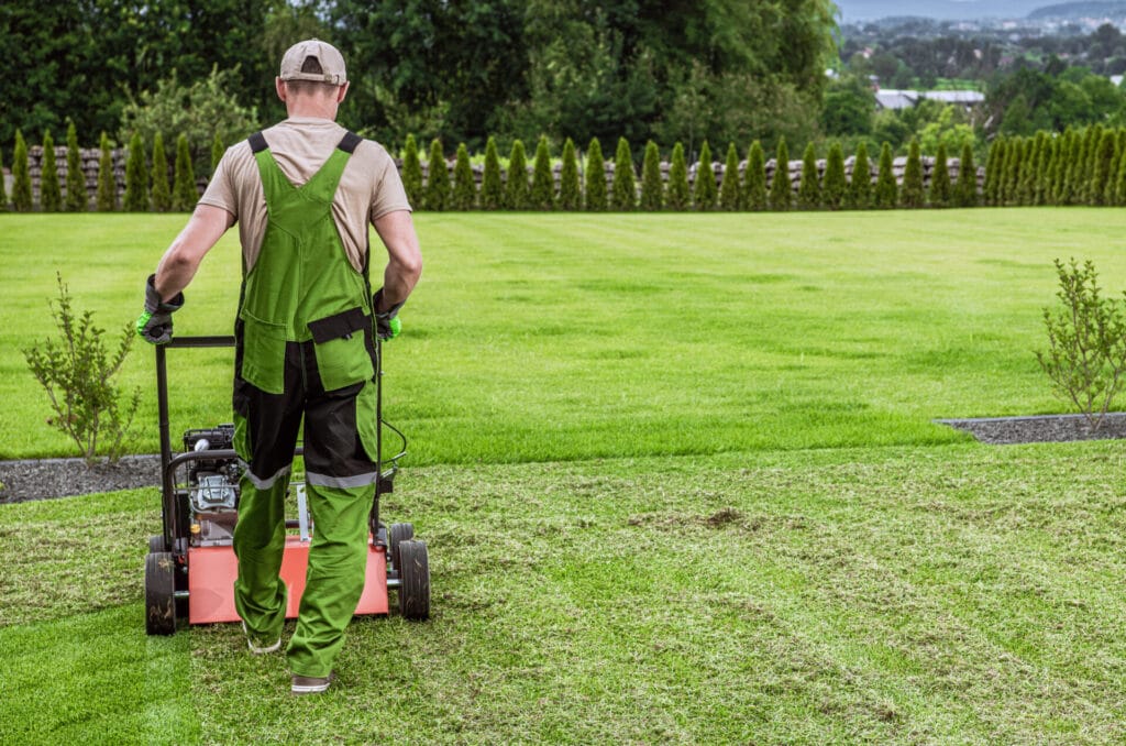 lawn-scalping-lawn-mowing-services