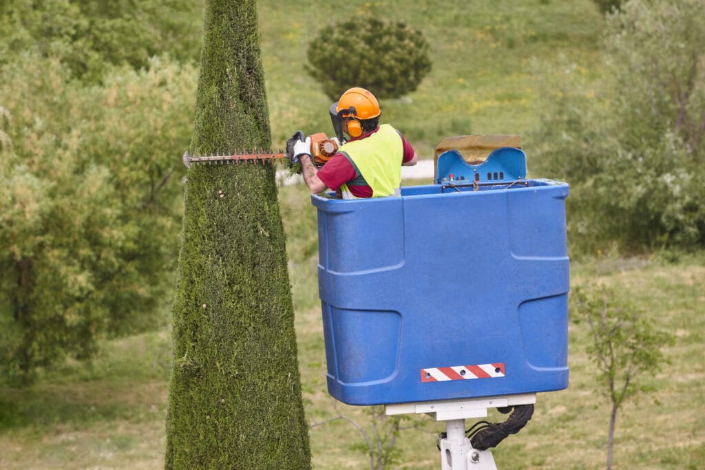 natural-pruning