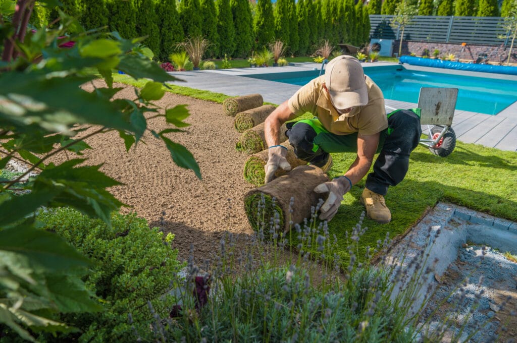 turf-modern-backyard