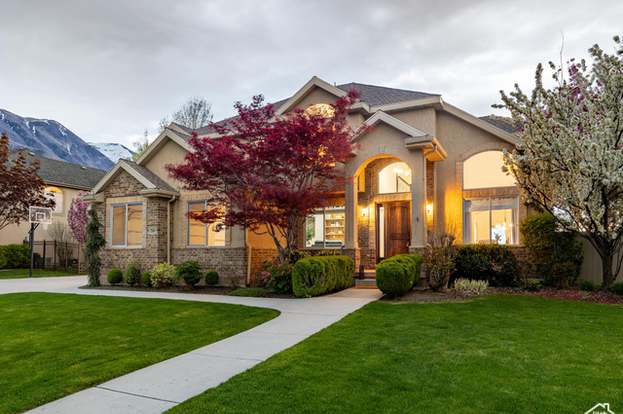 front-yard-tree-landscape