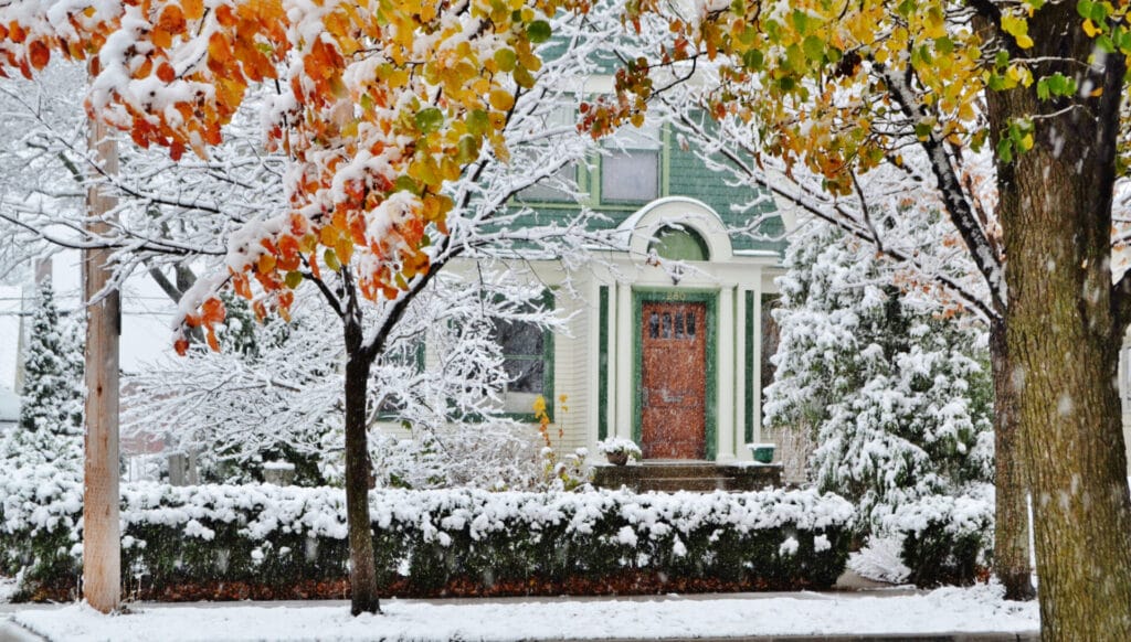 seasonal-landscaping