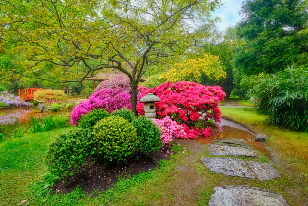 vibrant-floral-garden