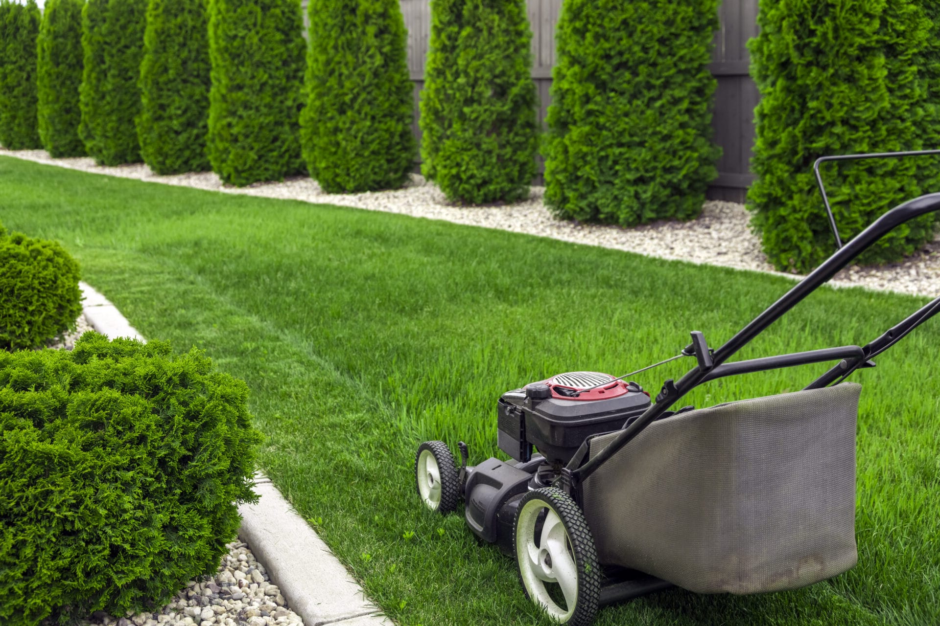 lawn-mowing-services