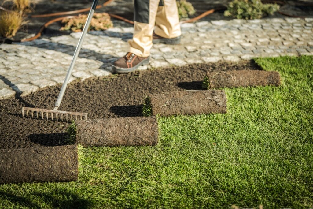 turf-aeration