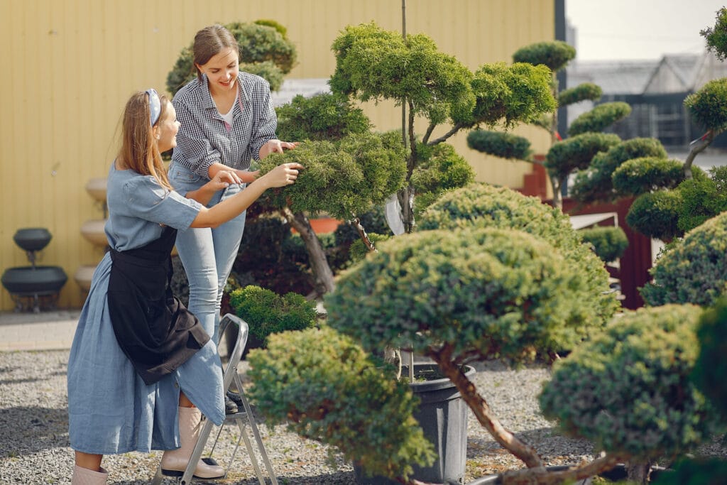 japanese-tree-pruning