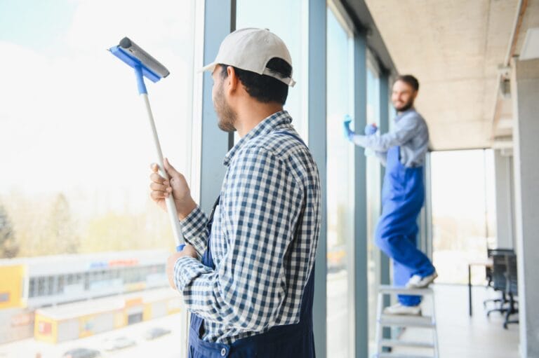 professional-window-cleaners