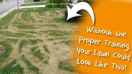 this-is-the-worst-thing-a-lawn-care-company-could-do