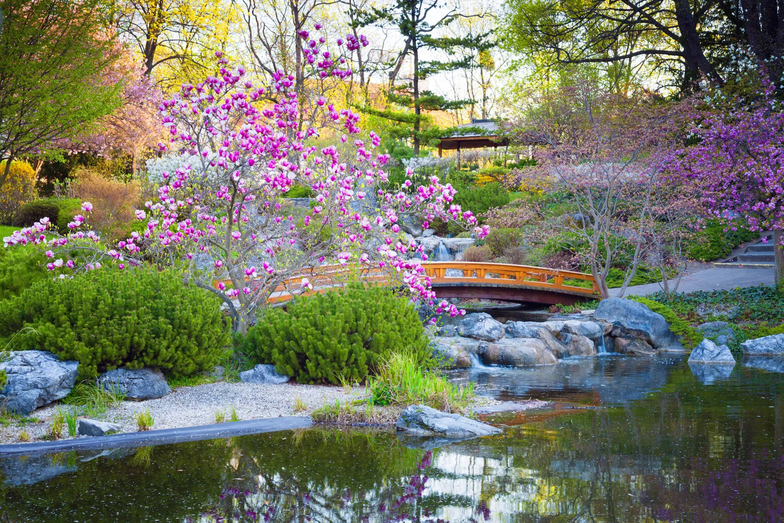 japanese landscaping