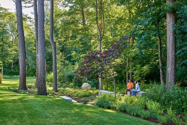 woodland landscaping