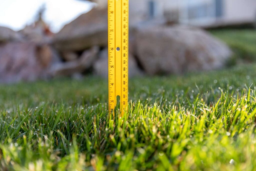 grass height in austin texas