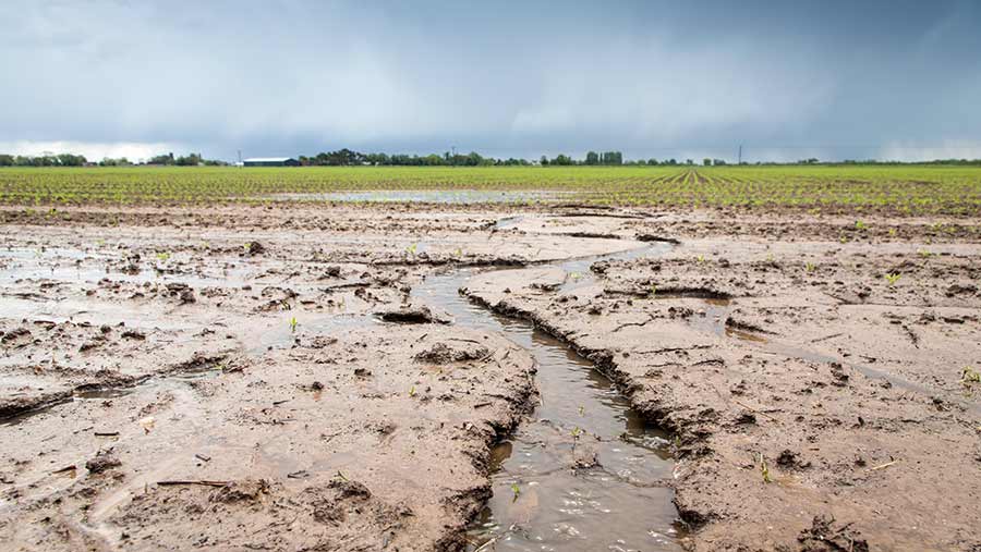 1 main soil erosion 3007 gnp 4585 c gary naylor