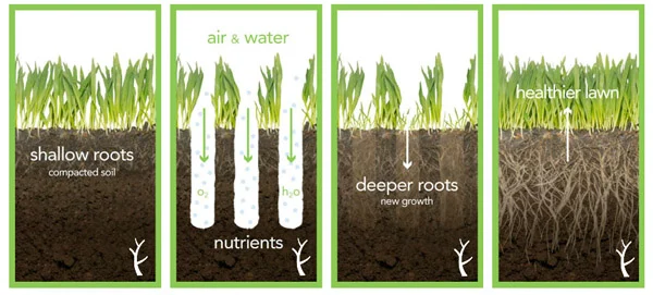 best time to aerate and overseed lawn 1