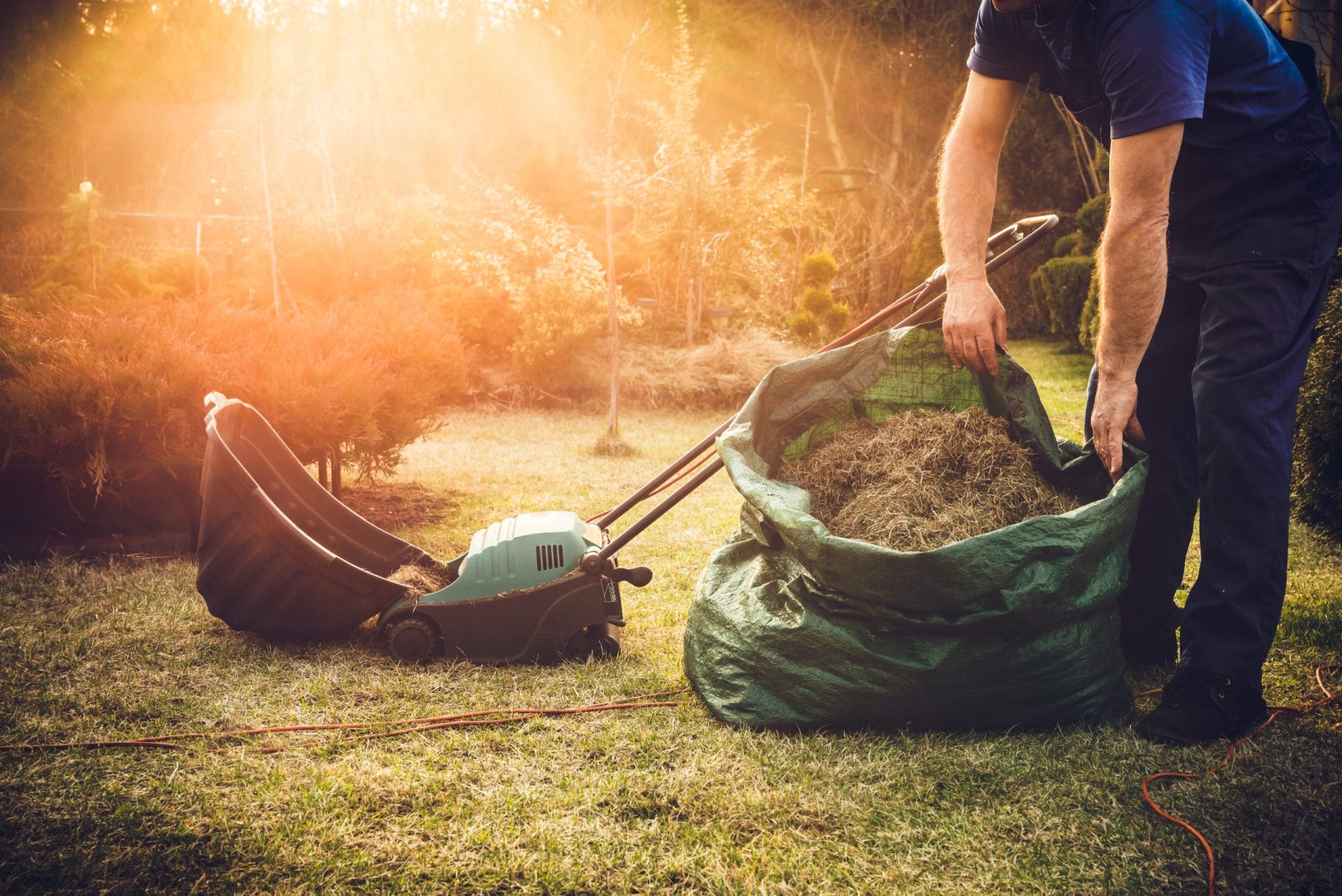 dethatching lawn scaled 1