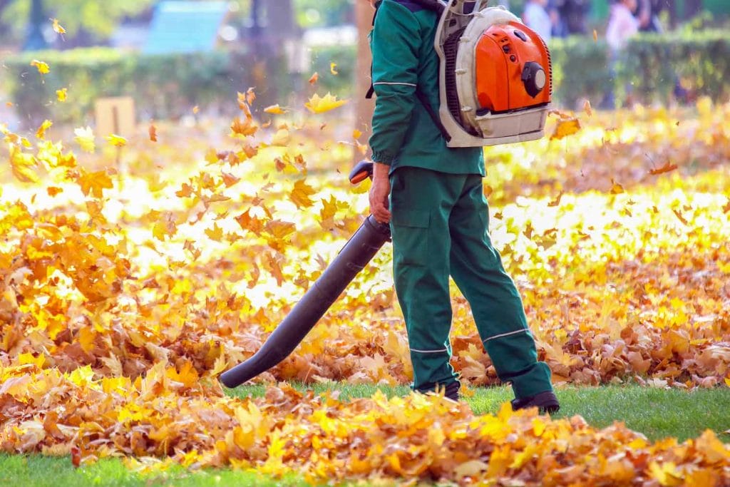 fall leaf cleanup cincinnati northern kentucky