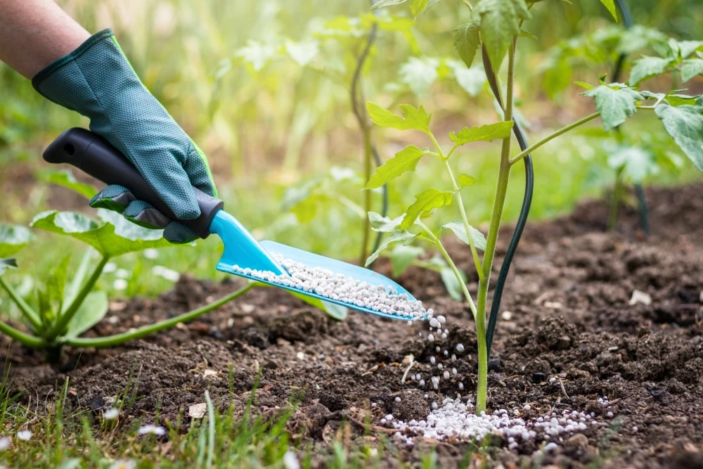 garden fertilizer