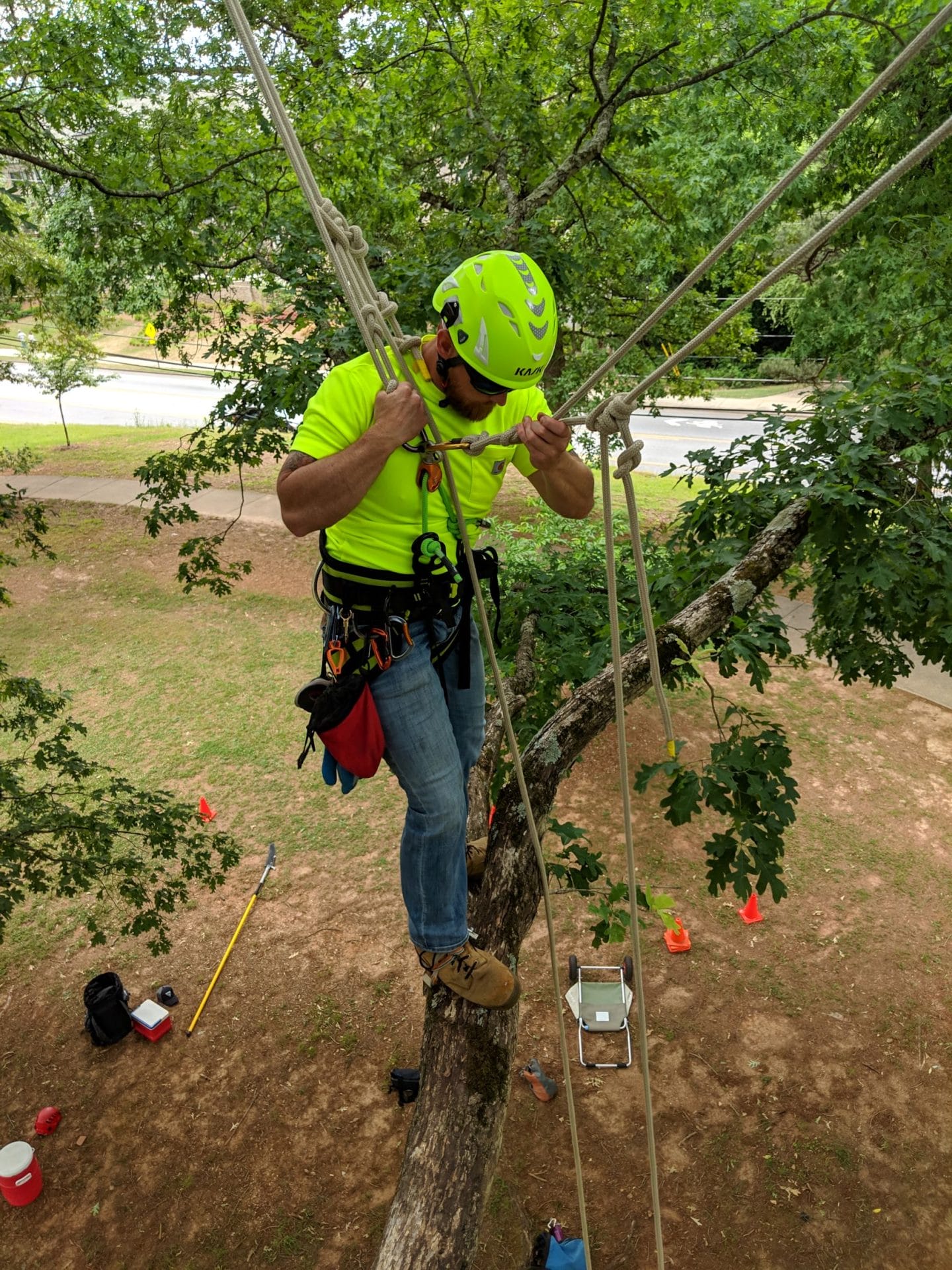 good tree care equipment