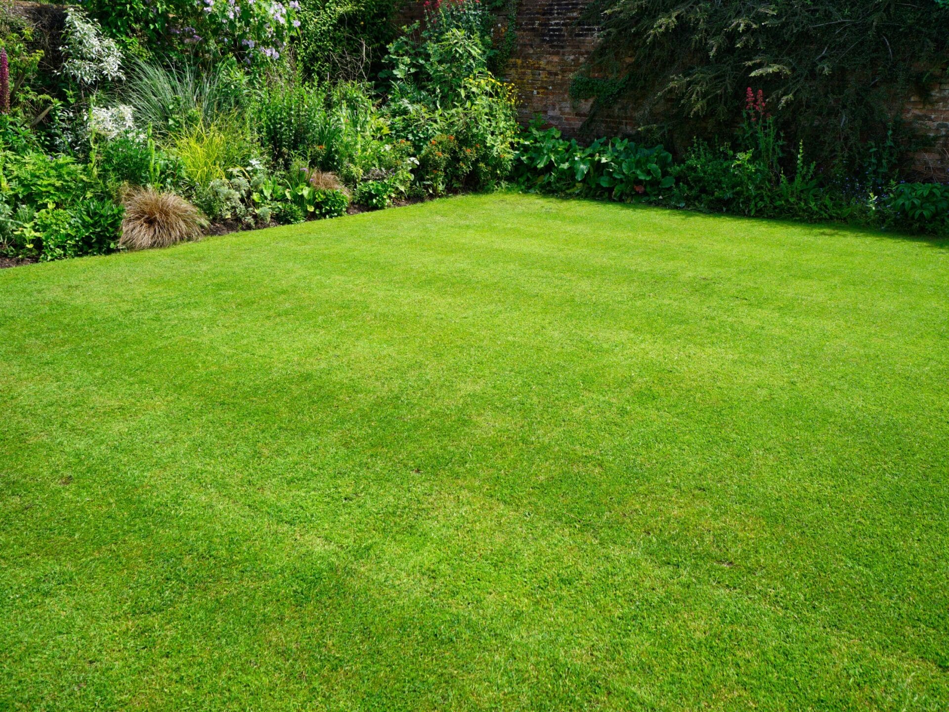 lawn istock 502848762.0 1 scaled.jpg.optimal