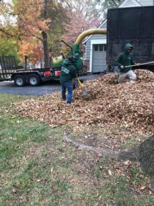 leaf removal envision1 225x300 1