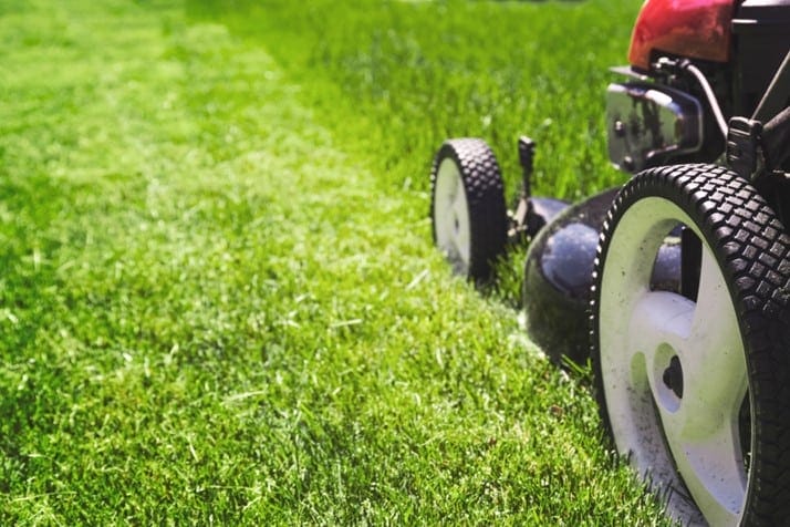 professional lawn mowing services in macclesfield achieving the perfect turf