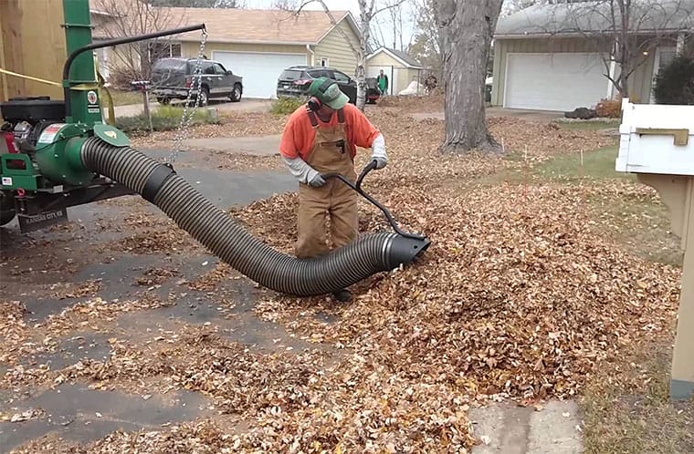 service leaf cleanup and removal 1