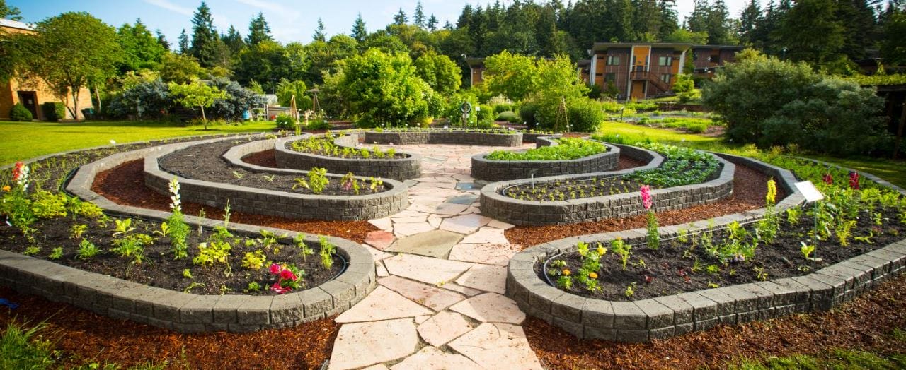 sustainable landscaping feature