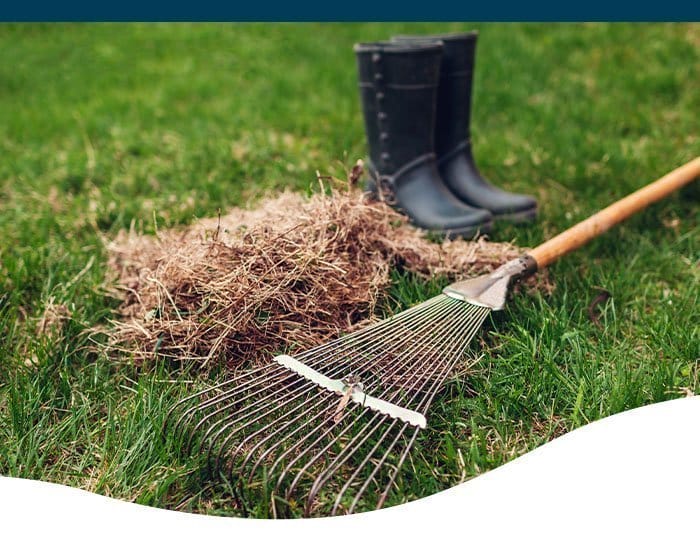 dethatching lawns in austin texas