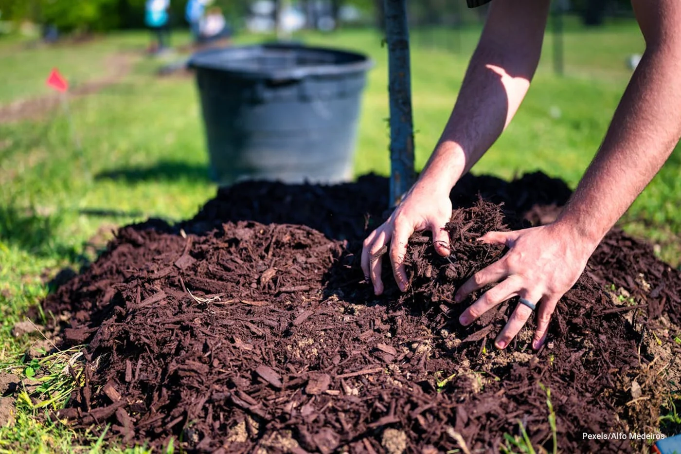 the impact of mulching on weed suppression min