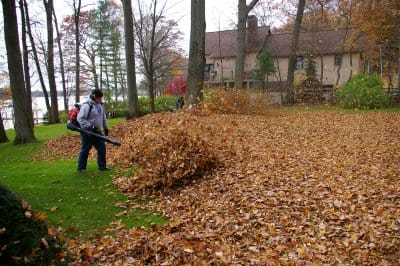 we provide all types of fall cleanup services in toronto