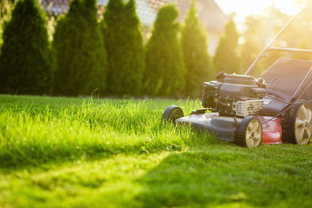 when to start mowing in the spring 1024x683 1