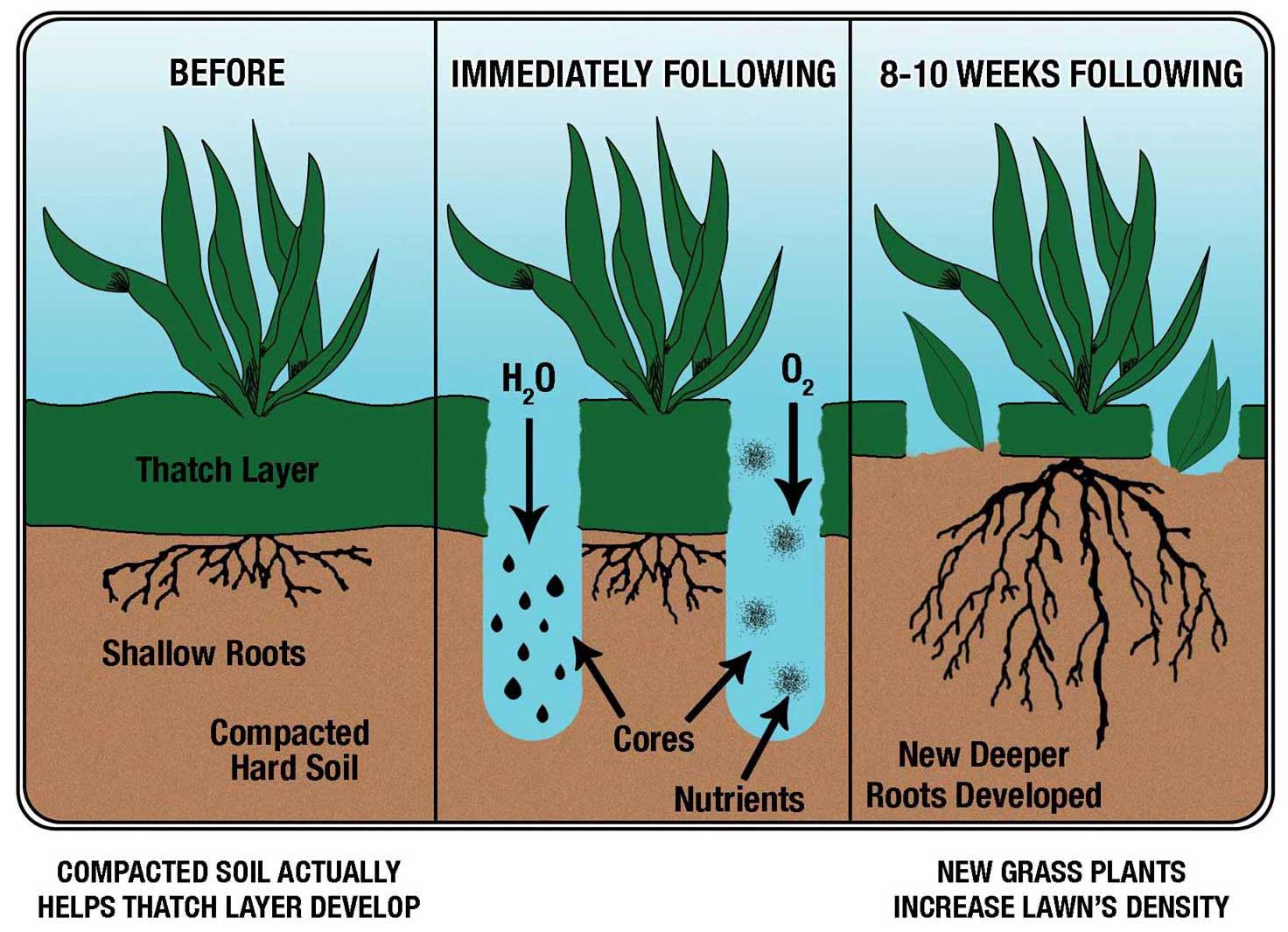 benefits of lawn aeration