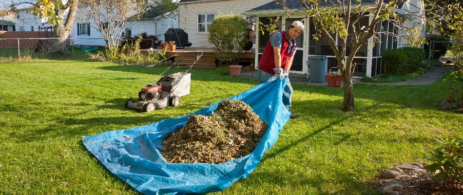 blog leaf removal