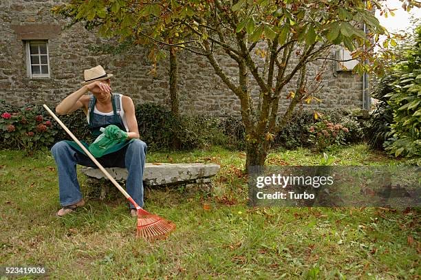 breaks during raking