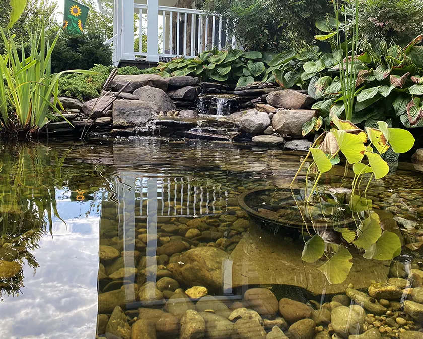 clean water pond hardscape