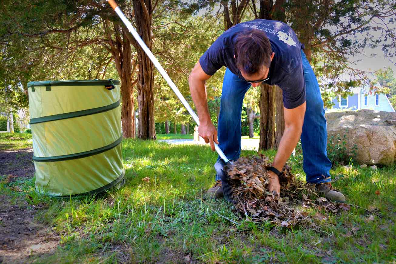 cleaning yard