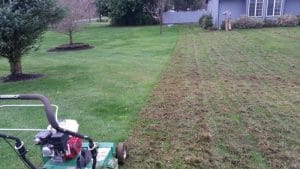 dethatching in austin texas