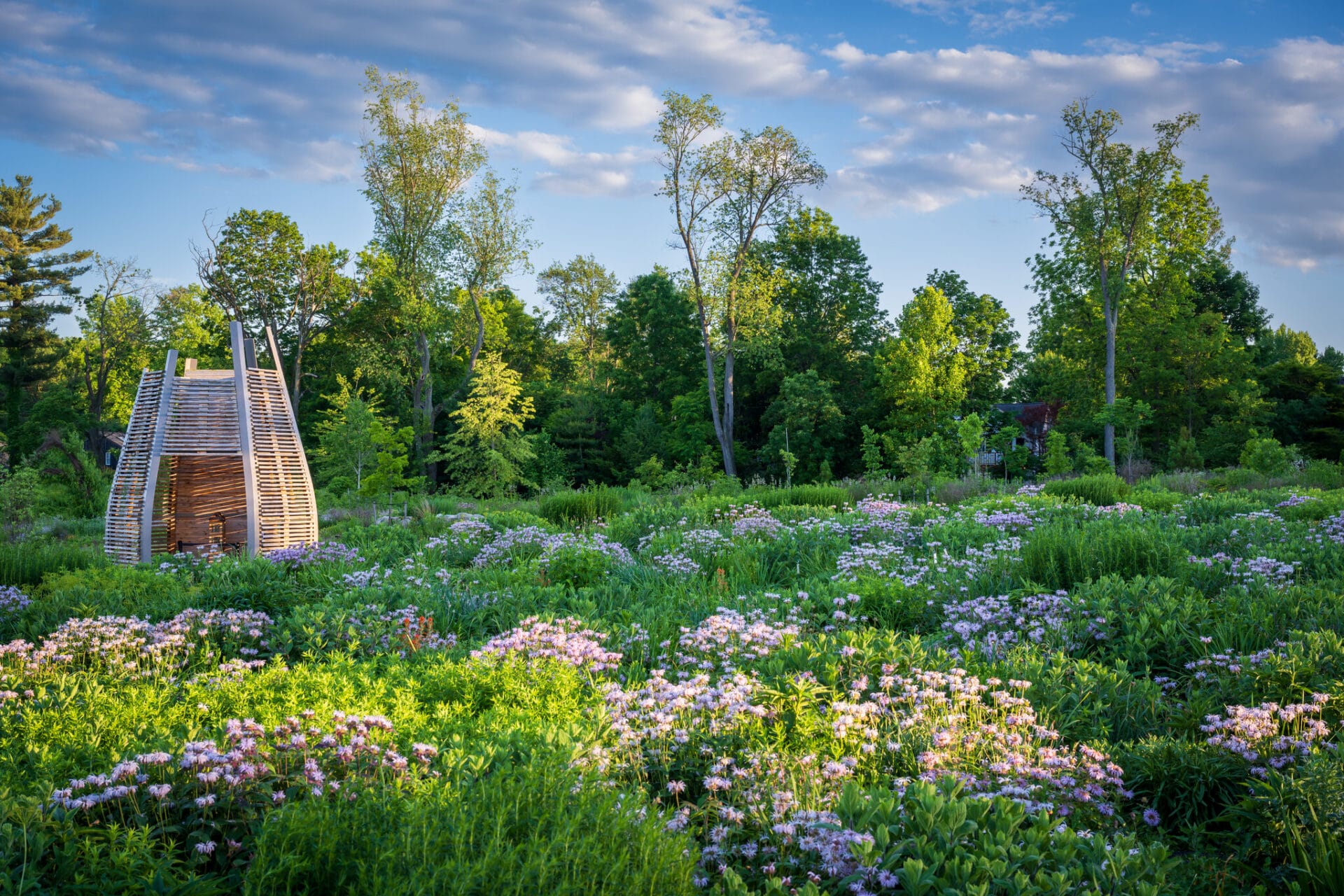 garden