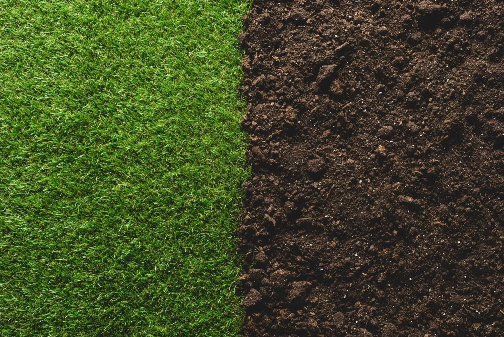 how to improve the soil quality for lawns scaled 1