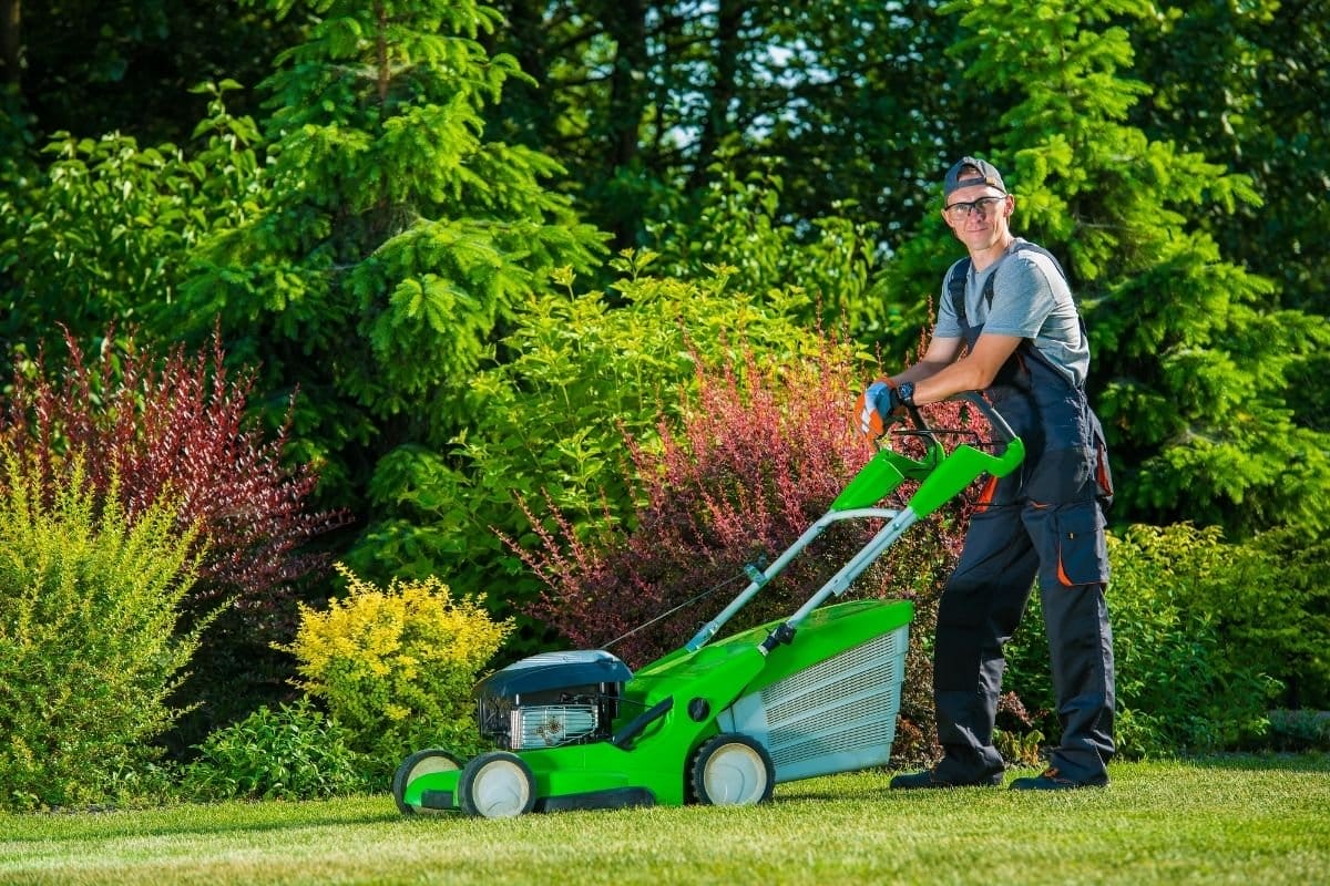 lawn mowing service companies