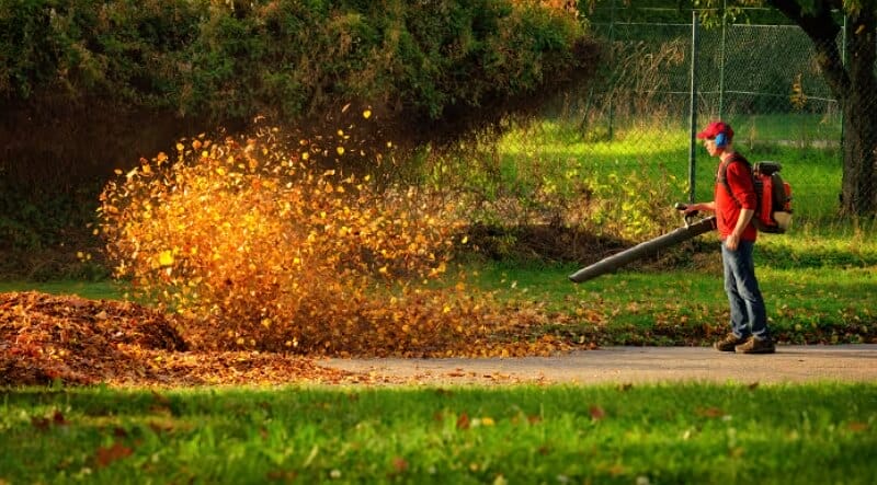 leaf blower buying guide 1703832044