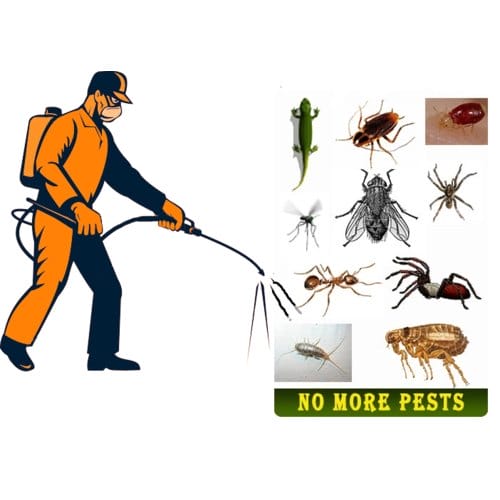 pest control service 500x500 1