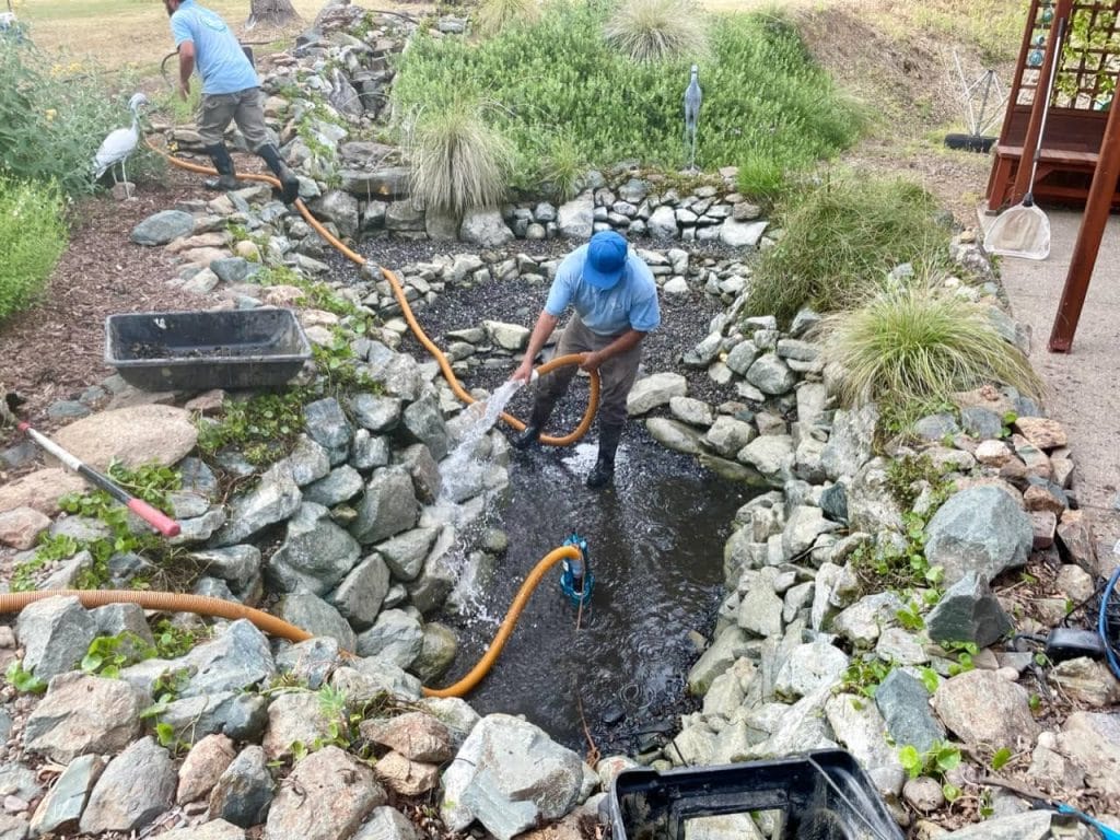 pond maintenance northern ca 4