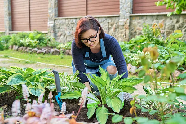 prepare garden for spring