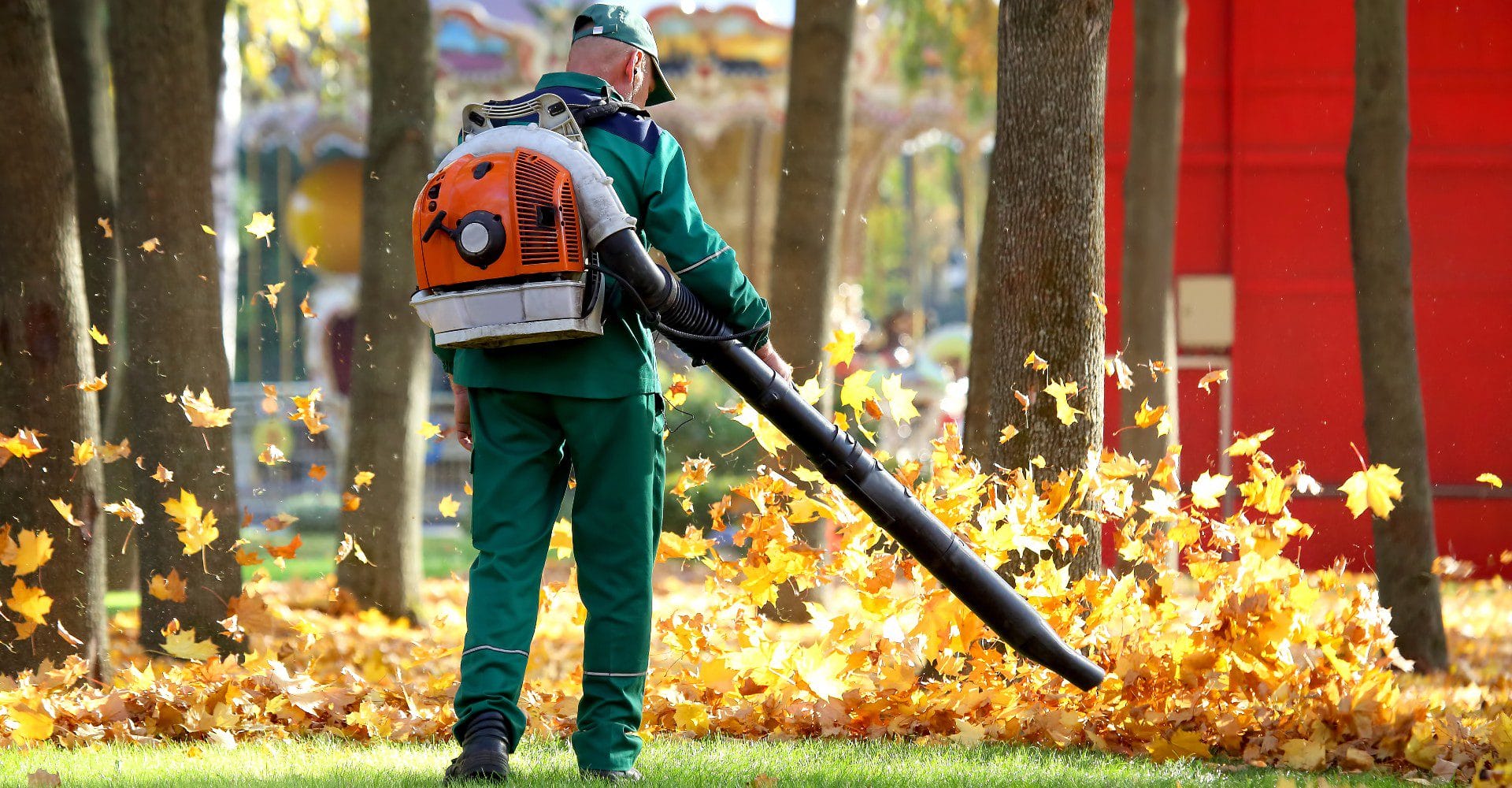 professional fall leaf cleanup