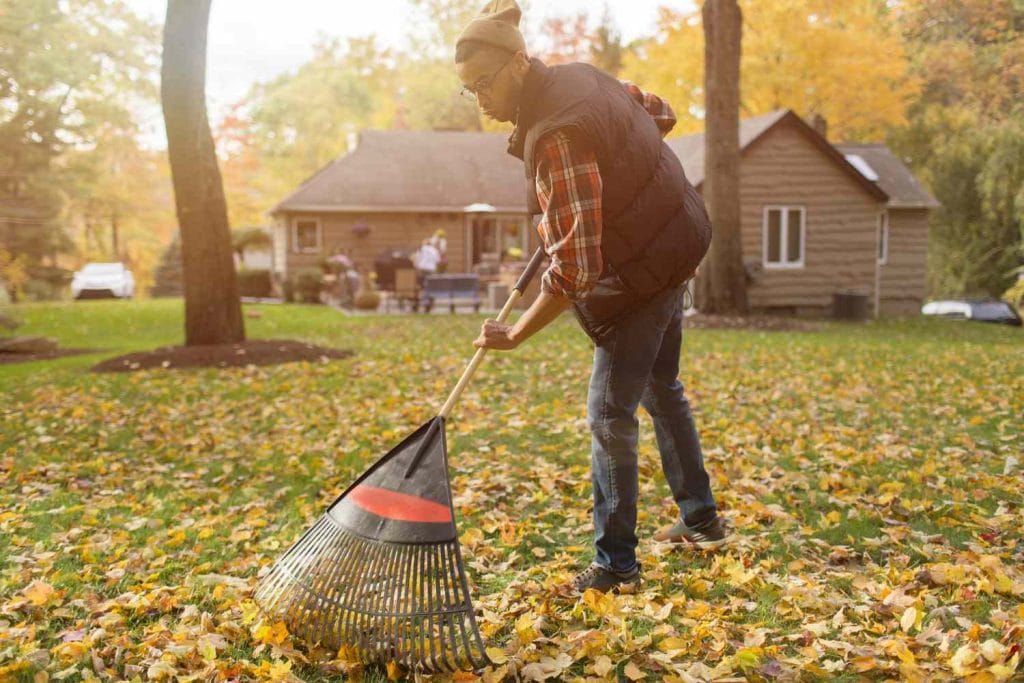 raking leaves