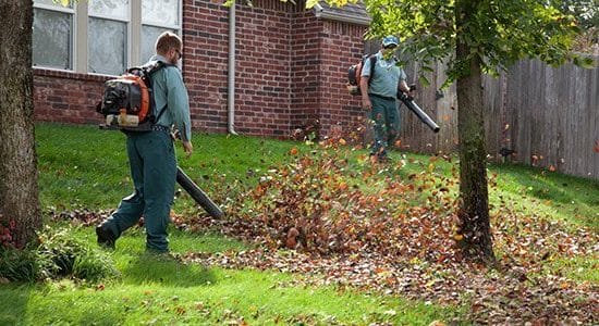 removing leaves from your lawn e1555433696574