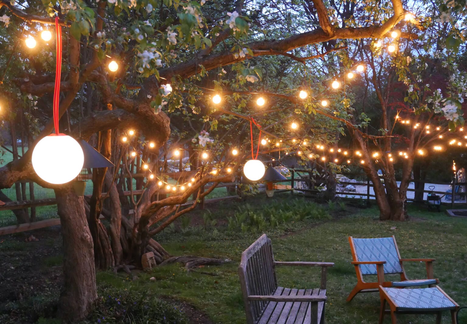 sally kohn backyard lights globes 1536x1066 1