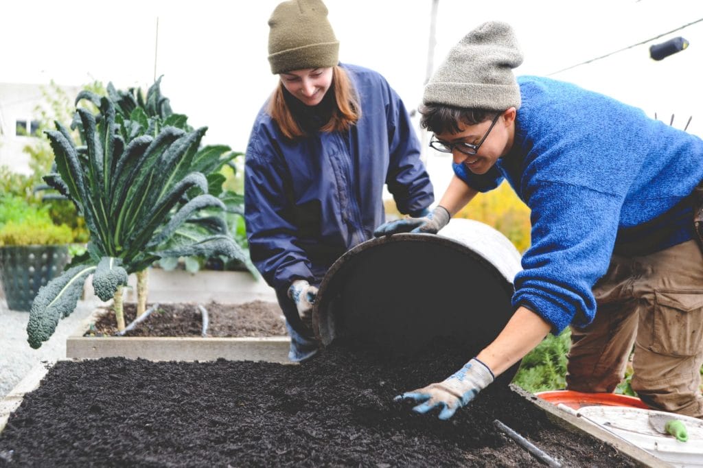 soil care in winter